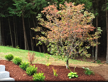 Petersen Landscaping and Design - Landscapers in Cheshire County NH